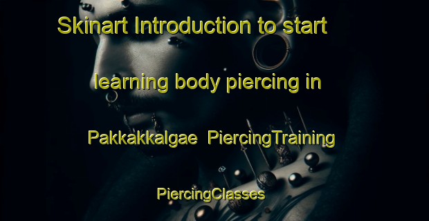 Skinart Introduction to start learning body piercing in Pakkakkalgae | PiercingTraining | PiercingClasses | SkinartTraining-Korea