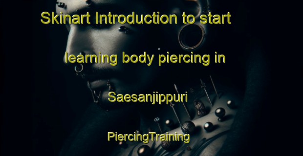 Skinart Introduction to start learning body piercing in Saesanjippuri | #PiercingTraining #PiercingClasses #SkinartTraining-Korea