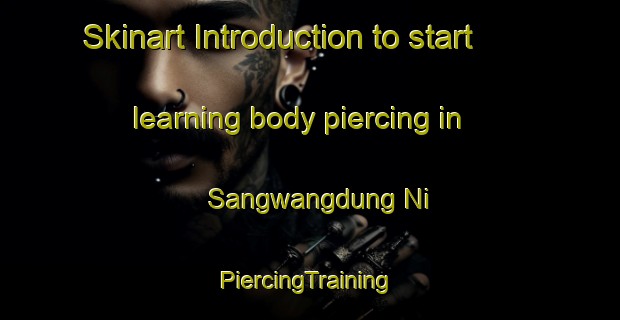 Skinart Introduction to start learning body piercing in Sangwangdung Ni | #PiercingTraining #PiercingClasses #SkinartTraining-Korea