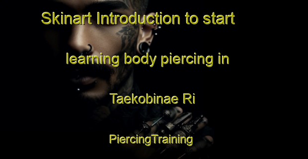 Skinart Introduction to start learning body piercing in Taekobinae Ri | #PiercingTraining #PiercingClasses #SkinartTraining-Korea