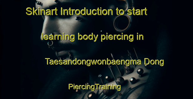 Skinart Introduction to start learning body piercing in Taesandongwonbaengma Dong | #PiercingTraining #PiercingClasses #SkinartTraining-Korea