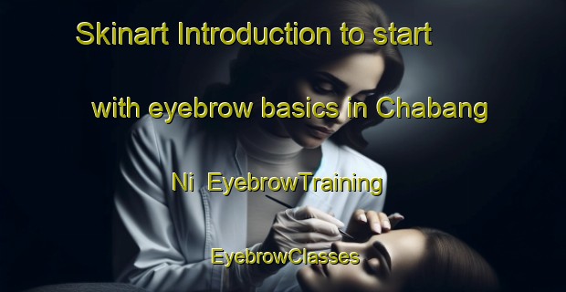 Skinart Introduction to start with eyebrow basics in Chabang Ni | EyebrowTraining | EyebrowClasses | SkinartTraining-Korea