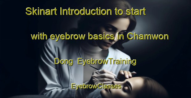 Skinart Introduction to start with eyebrow basics in Chamwon Dong | EyebrowTraining | EyebrowClasses | SkinartTraining-Korea