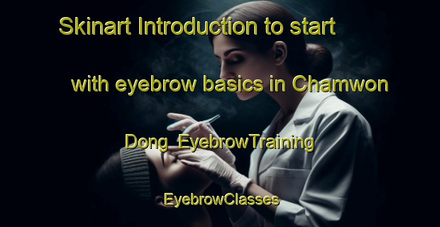 Skinart Introduction to start with eyebrow basics in Chamwon Dong | EyebrowTraining | EyebrowClasses | SkinartTraining-Korea