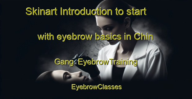 Skinart Introduction to start with eyebrow basics in Chin Gang | EyebrowTraining | EyebrowClasses | SkinartTraining-Korea