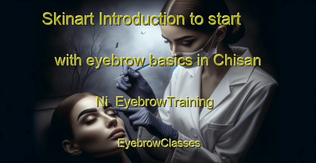 Skinart Introduction to start with eyebrow basics in Chisan Ni | EyebrowTraining | EyebrowClasses | SkinartTraining-Korea