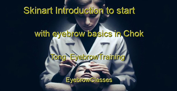 Skinart Introduction to start with eyebrow basics in Chok Tong | EyebrowTraining | EyebrowClasses | SkinartTraining-Korea