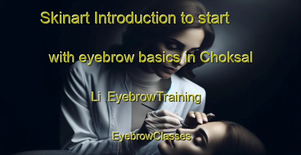 Skinart Introduction to start with eyebrow basics in Choksal Li | EyebrowTraining | EyebrowClasses | SkinartTraining-Korea