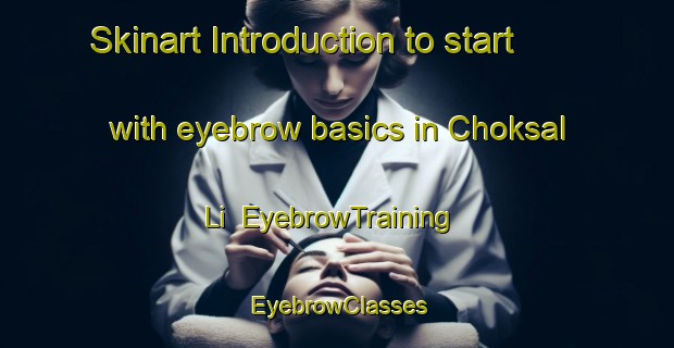 Skinart Introduction to start with eyebrow basics in Choksal Li | EyebrowTraining | EyebrowClasses | SkinartTraining-Korea