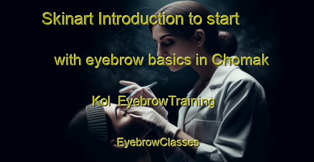 Skinart Introduction to start with eyebrow basics in Chomak Kol | EyebrowTraining | EyebrowClasses | SkinartTraining-Korea