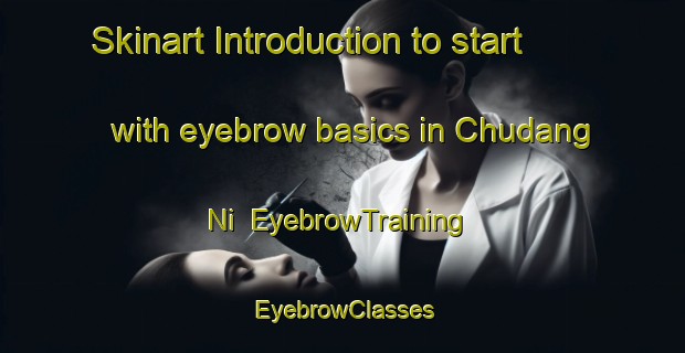 Skinart Introduction to start with eyebrow basics in Chudang Ni | EyebrowTraining | EyebrowClasses | SkinartTraining-Korea