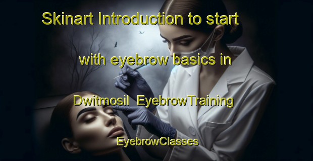 Skinart Introduction to start with eyebrow basics in Dwitmosil | EyebrowTraining | EyebrowClasses | SkinartTraining-Korea