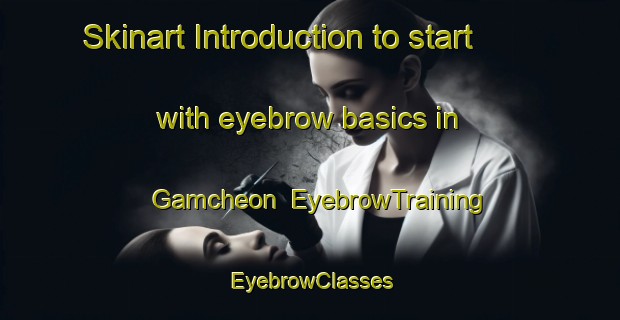 Skinart Introduction to start with eyebrow basics in Gamcheon | EyebrowTraining | EyebrowClasses | SkinartTraining-Korea