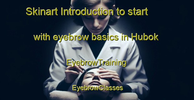 Skinart Introduction to start with eyebrow basics in Hubok | EyebrowTraining | EyebrowClasses | SkinartTraining-Korea