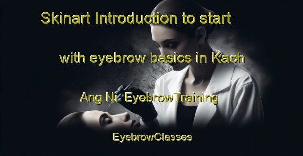 Skinart Introduction to start with eyebrow basics in Kach Ang Ni | EyebrowTraining | EyebrowClasses | SkinartTraining-Korea