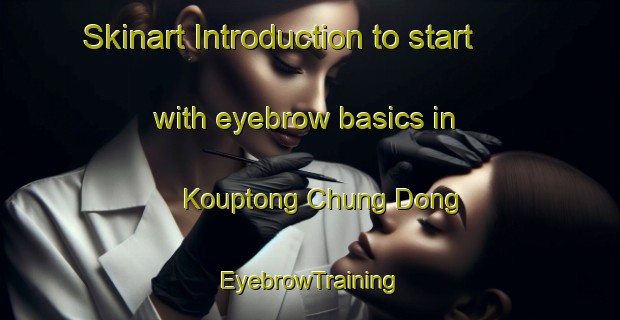 Skinart Introduction to start with eyebrow basics in Kouptong Chung Dong | EyebrowTraining | EyebrowClasses | SkinartTraining-Korea
