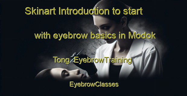 Skinart Introduction to start with eyebrow basics in Modok Tong | EyebrowTraining | EyebrowClasses | SkinartTraining-Korea