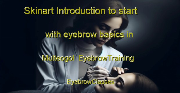 Skinart Introduction to start with eyebrow basics in Multeogol | EyebrowTraining | EyebrowClasses | SkinartTraining-Korea