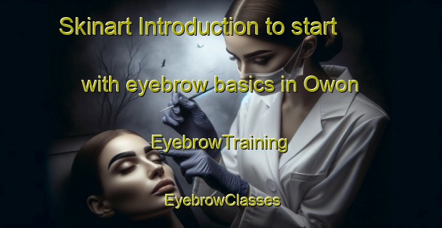 Skinart Introduction to start with eyebrow basics in Owon | EyebrowTraining | EyebrowClasses | SkinartTraining-Korea