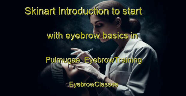 Skinart Introduction to start with eyebrow basics in Pulmugae | EyebrowTraining | EyebrowClasses | SkinartTraining-Korea
