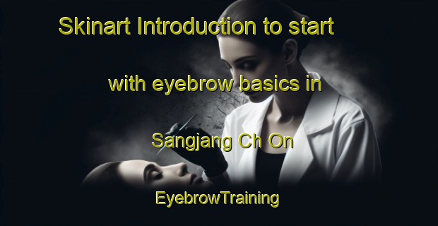 Skinart Introduction to start with eyebrow basics in Sangjang Ch On | EyebrowTraining | EyebrowClasses | SkinartTraining-Korea