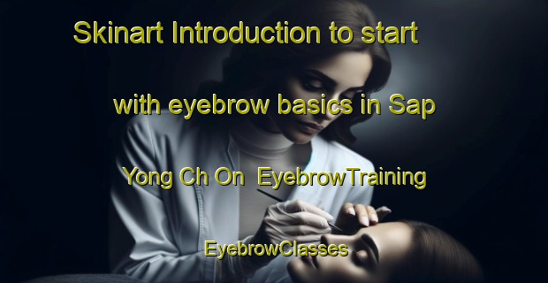 Skinart Introduction to start with eyebrow basics in Sap Yong Ch On | EyebrowTraining | EyebrowClasses | SkinartTraining-Korea