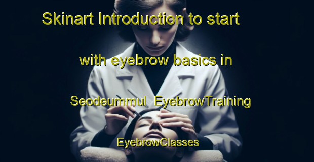 Skinart Introduction to start with eyebrow basics in Seodeummul | EyebrowTraining | EyebrowClasses | SkinartTraining-Korea