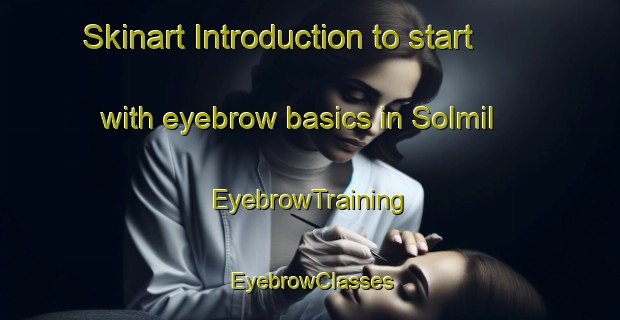 Skinart Introduction to start with eyebrow basics in Solmil | EyebrowTraining | EyebrowClasses | SkinartTraining-Korea