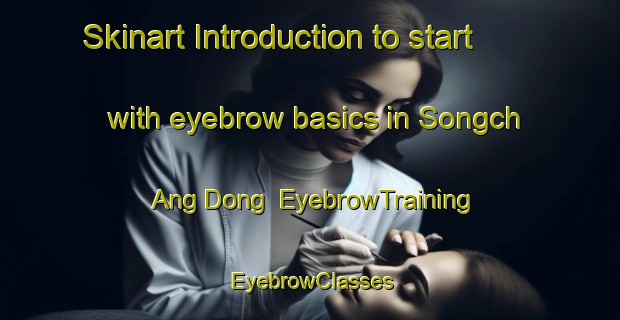 Skinart Introduction to start with eyebrow basics in Songch Ang Dong | EyebrowTraining | EyebrowClasses | SkinartTraining-Korea
