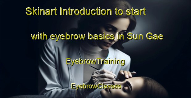 Skinart Introduction to start with eyebrow basics in Sun Gae | EyebrowTraining | EyebrowClasses | SkinartTraining-Korea