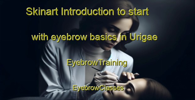 Skinart Introduction to start with eyebrow basics in Urigae | EyebrowTraining | EyebrowClasses | SkinartTraining-Korea