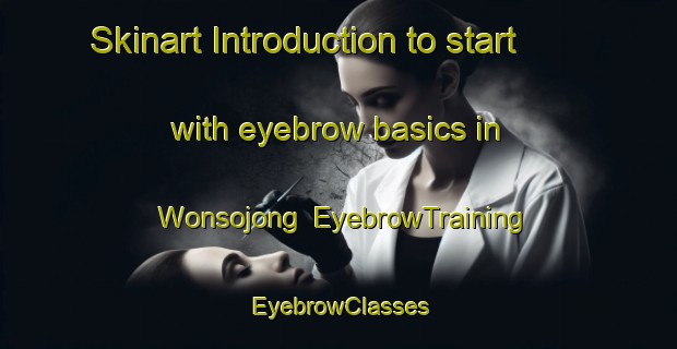 Skinart Introduction to start with eyebrow basics in Wonsojong | EyebrowTraining | EyebrowClasses | SkinartTraining-Korea
