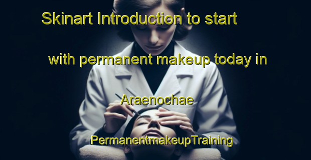 Skinart Introduction to start with permanent makeup today in Araenochae | #PermanentmakeupTraining #PermanentmakeupClasses #SkinartTraining-Korea