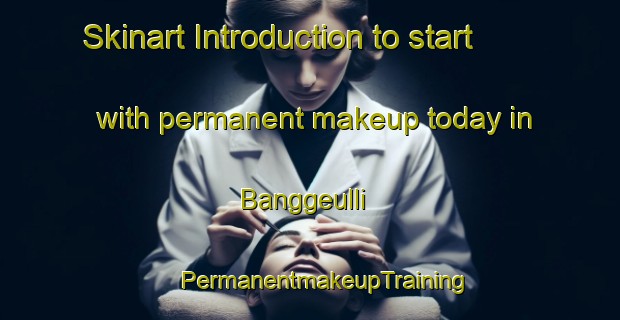 Skinart Introduction to start with permanent makeup today in Banggeulli | #PermanentmakeupTraining #PermanentmakeupClasses #SkinartTraining-Korea