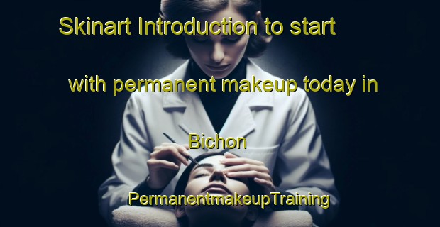 Skinart Introduction to start with permanent makeup today in Bichon | #PermanentmakeupTraining #PermanentmakeupClasses #SkinartTraining-Korea