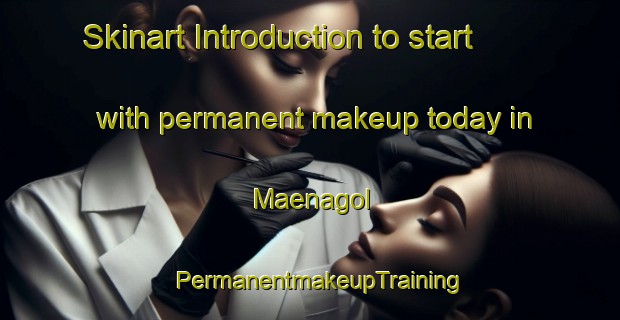 Skinart Introduction to start with permanent makeup today in Maenagol | PermanentmakeupTraining | PermanentmakeupClasses | SkinartTraining-Korea