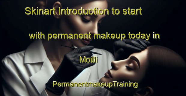 Skinart Introduction to start with permanent makeup today in Moilli | PermanentmakeupTraining | PermanentmakeupClasses | SkinartTraining-Korea