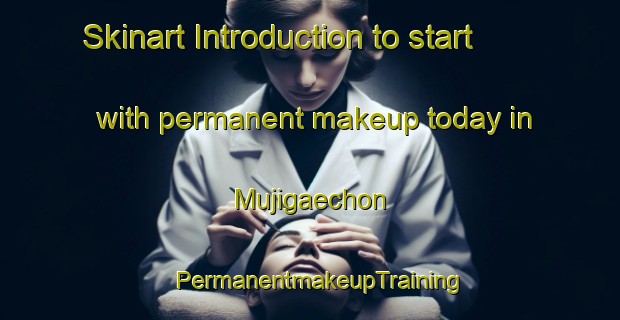 Skinart Introduction to start with permanent makeup today in Mujigaechon | PermanentmakeupTraining | PermanentmakeupClasses | SkinartTraining-Korea