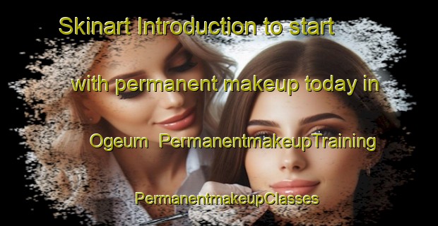 Skinart Introduction to start with permanent makeup today in Ogeum | PermanentmakeupTraining | PermanentmakeupClasses | SkinartTraining-Korea
