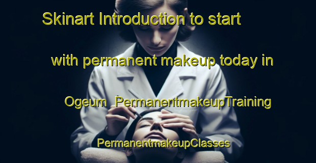 Skinart Introduction to start with permanent makeup today in Ogeum | PermanentmakeupTraining | PermanentmakeupClasses | SkinartTraining-Korea