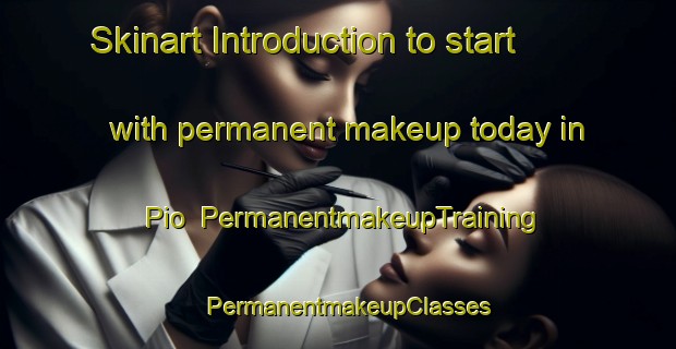 Skinart Introduction to start with permanent makeup today in Pio | PermanentmakeupTraining | PermanentmakeupClasses | SkinartTraining-Korea