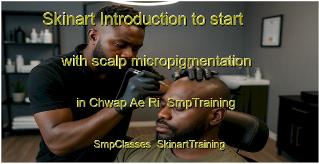 Skinart Introduction to start with scalp micropigmentation in Chwap Ae Ri | SmpTraining | SmpClasses | SkinartTraining-Korea