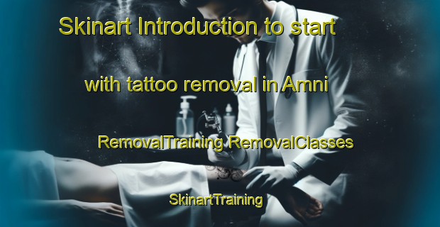 Skinart Introduction to start with tattoo removal in Amni | #RemovalTraining #RemovalClasses #SkinartTraining-Korea