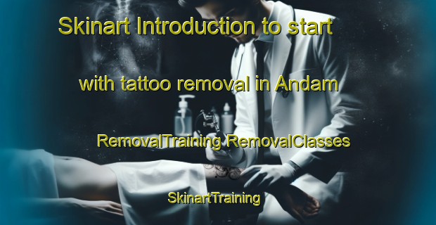 Skinart Introduction to start with tattoo removal in Andam | #RemovalTraining #RemovalClasses #SkinartTraining-Korea