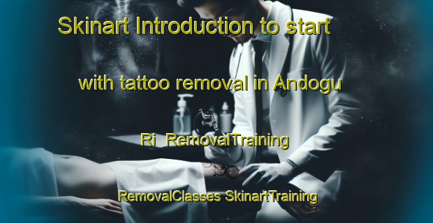 Skinart Introduction to start with tattoo removal in Andogu Ri | #RemovalTraining #RemovalClasses #SkinartTraining-Korea