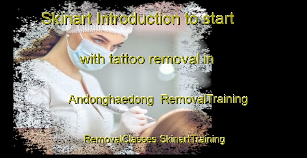 Skinart Introduction to start with tattoo removal in Andonghaedong | #RemovalTraining #RemovalClasses #SkinartTraining-Korea