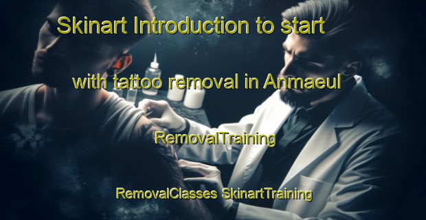 Skinart Introduction to start with tattoo removal in Anmaeul | #RemovalTraining #RemovalClasses #SkinartTraining-Korea