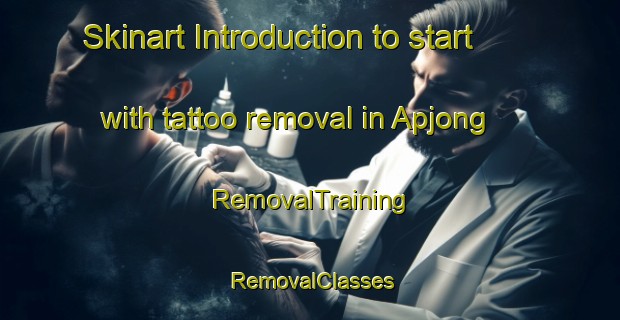 Skinart Introduction to start with tattoo removal in Apjong | RemovalTraining | RemovalClasses | SkinartTraining-Korea