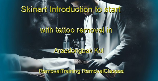 Skinart Introduction to start with tattoo removal in Araedongbak Kol | #RemovalTraining #RemovalClasses #SkinartTraining-Korea