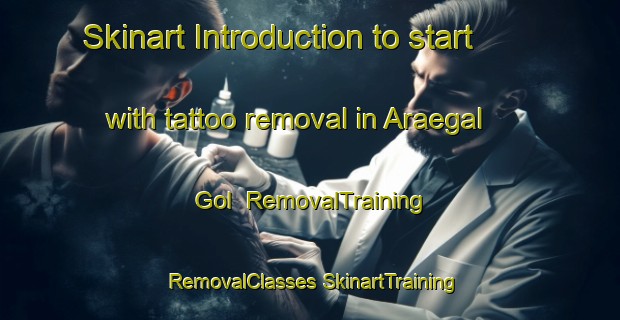 Skinart Introduction to start with tattoo removal in Araegal Gol | #RemovalTraining #RemovalClasses #SkinartTraining-Korea